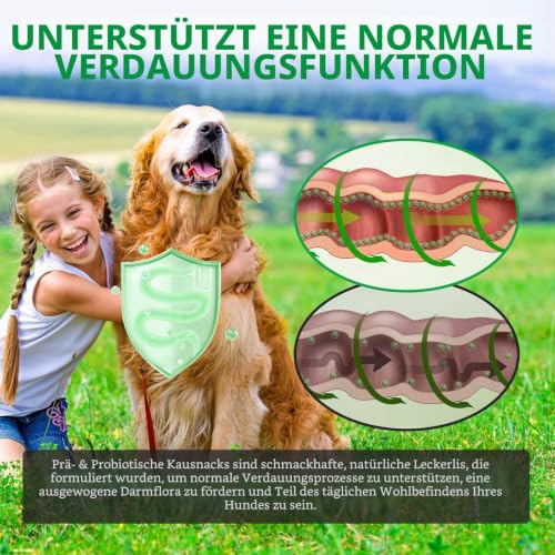 Probiotika für Hunde, Erbesserte Verdauung & Immunsystem, Fördert die Gesundheit der Haut und Saisonale Allergien Unterstützen, Gut für Die Immunität, Entengeschmack