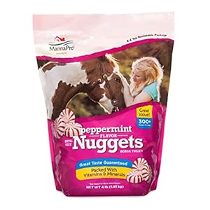 Manna Pro Bite-Size Nuggets for Horses – Pocket Sized Training Horse Treats – Peppermint Flavored Treats – Packs with Vitamins & Minerals- Great Taste Guaranteed – 4lbs
