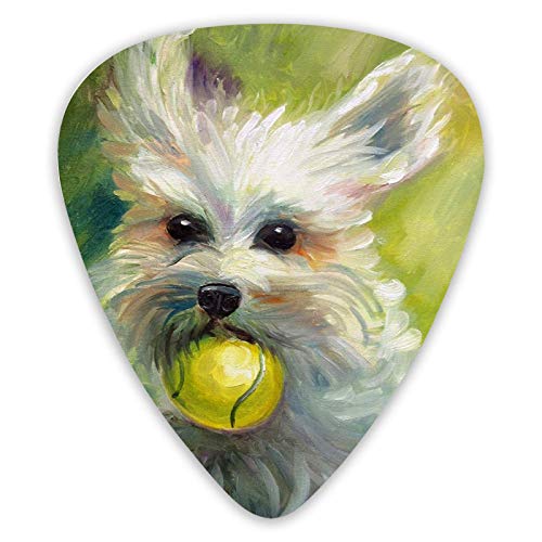 Médiators Bichon Frise Peinture 12 Pièces Médiators Ukulélé 0,46 mm 0,71 mm 0,96 mm - Les Beatles, Paul McCartney, John Lennon, RIngo Starr, George Harrison Médiators Bichon Frise Peinture 12 Pièces Médiators Ukulélé 0,46 mm 0,71 mm 0,96 mm