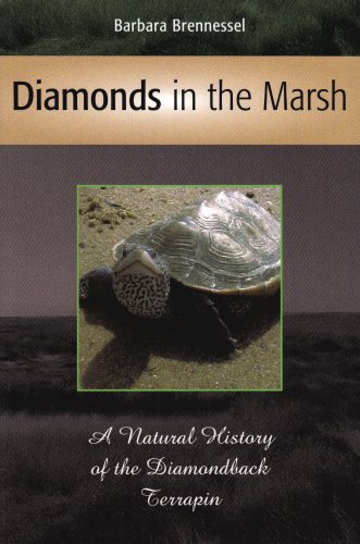Diamonds in the Marsh: A Natural History of the Diamondback Terrapin Paperback – January 1, 2008