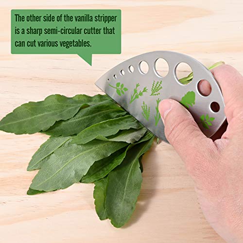 Herb Cutter Stripper 9 Holes-Stainless Steel-Kitchen Gadgets for Oregano, Rosemary, Thyme, Tarragon, Even Kale, etc.-Both Peeling and Cutting-1 Pack