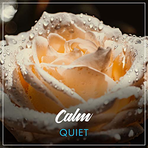 1 Album Calm Quiet Loopable Ambience & Pro Sound