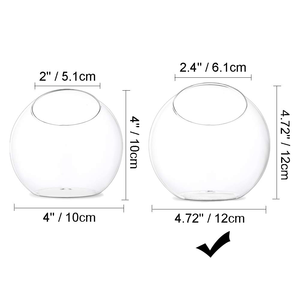 Glasseam Verre Terrarium 12 cm, 4 Pcs Petit Terrarium en Verre, Vase Pot Décoration Intérieure pour Succulentes, Cactus, Bougie - Verre Borosilicaté, Élégante et Moderne, Idéal pour Intérieur