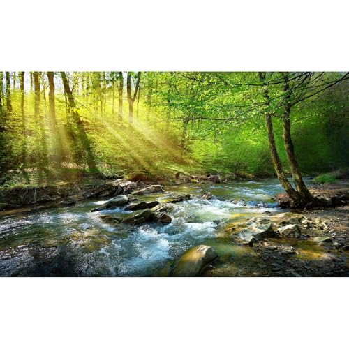 Image of Forest Aquarium Background Flowing Stream Sunbeams Fish Tank Background Lush Green Trees Fantastic Natural View Reptile Tank Backgrounds Deep Rainforest Jungle Reptile Enclosure Backgrounds 72x16in
