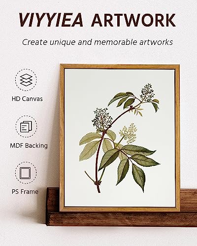 Viyyiea Framed Vintage Botanical Wall Art Prints Sambucus Racemosa Plant Canvas Wall Art Painting Prints Rustic Farmhouse Wall Decor thumb #5