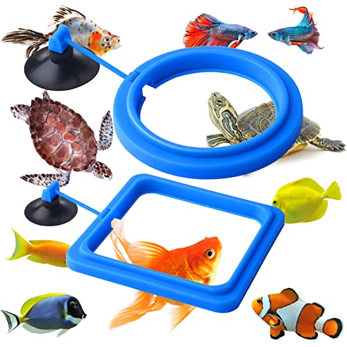 Cobee anello cibo pesce, 2 pezzi pesce cibo