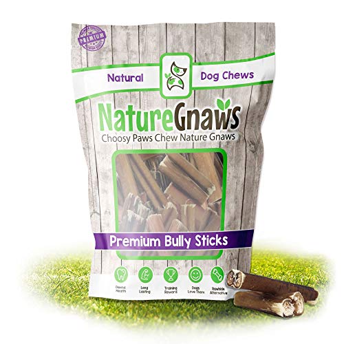 Nature Gnaws Small Bully Sticks 100 AllNatural GrassFed FreeRange