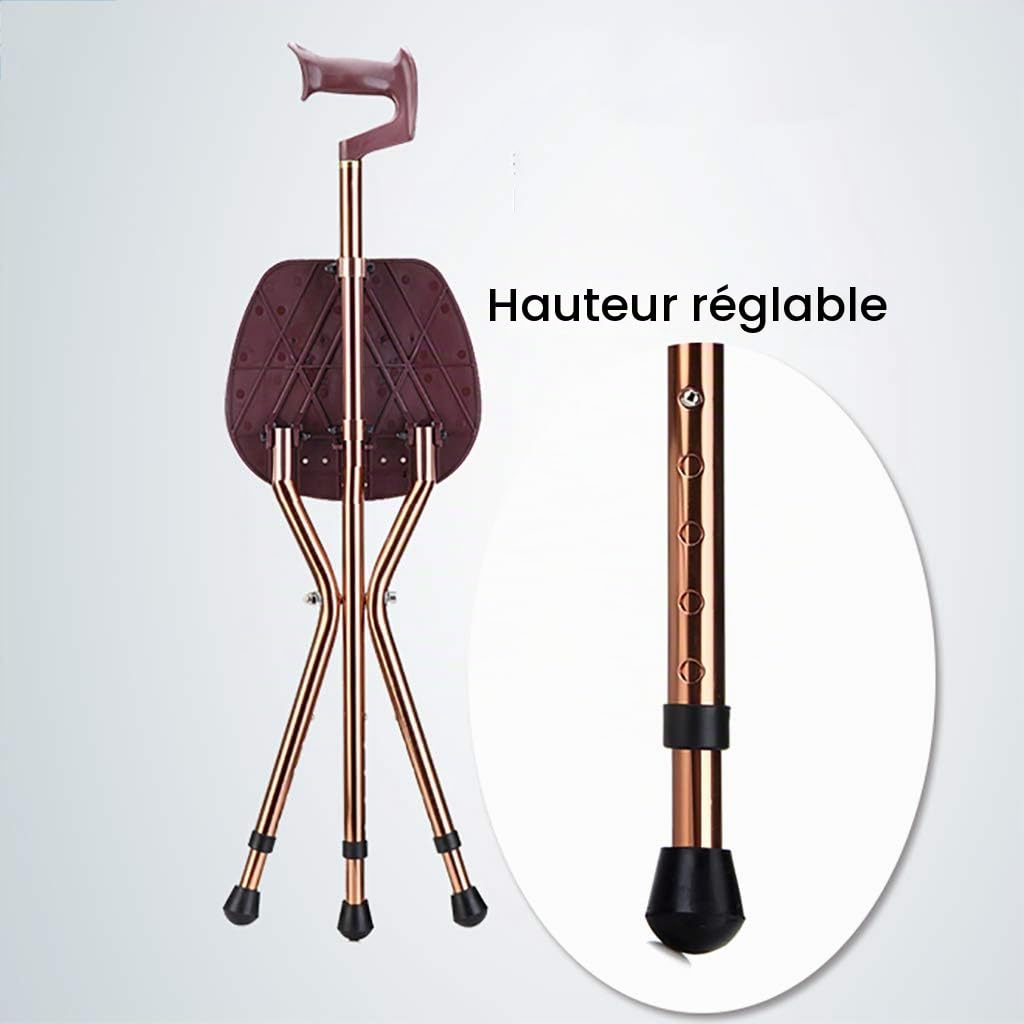 Canne De Siège Pliante, Capacité De 200 Kg, Canne Légère Et Réglable, Idéale pour Les Voyages Extérieurs, Les Événements Et La Marche des Personnes Âgées
