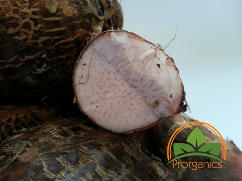1 Lb Organic Yautia Lila, Rhizome Xanthosoma by Prorganics