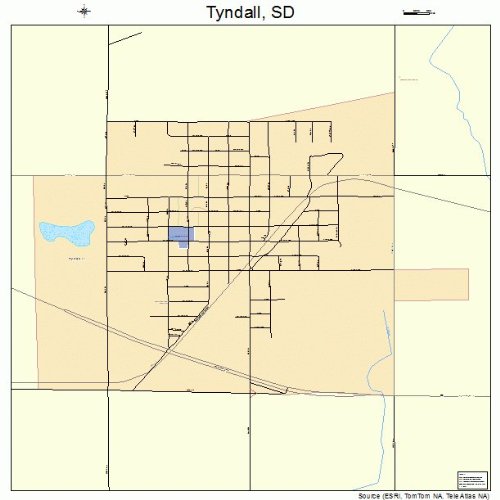 Large Street & Road Map of Tyndall, South Dakota SD Printed Poster