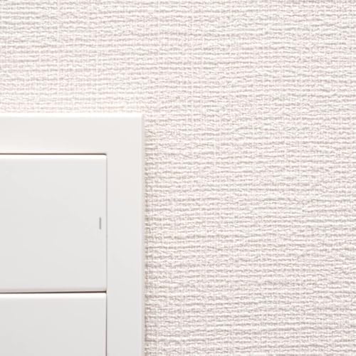 ǎ{ ǎ ̂t D x[W  NX VS2046 ؂蔄 P y󒍐YiLZsz