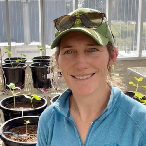 Soil salinity through climate change growing in the Mekong Delta - Brooke Kaveney