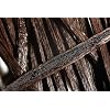 25 Grade B Vanilla Beans - Whole Vanilla beans, ideal for making vanilla extract, 5-7 inches
