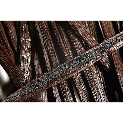 25 Grade B Vanilla Beans - Whole Vanilla beans, ideal for making vanilla extract, 5-7 inches