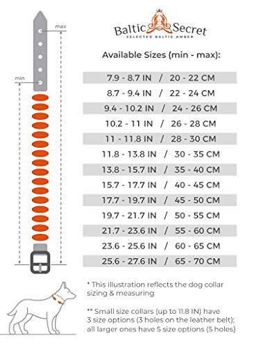 Bernsteinkette Hund mit EM Keramik Pipes - Effektive MIKROORGANISMEN - Bernsteinhalsband Hunde - Bernstein (20-25 cm)