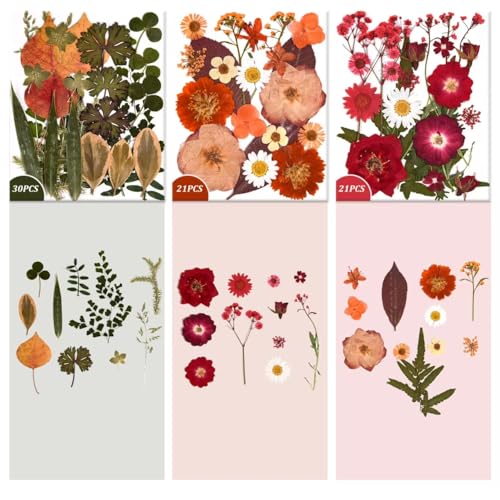 Image of 9 Packs of 200 Pressed Dried Flowers and Leaves for DIY Crafts | Assorted Real Natural Dry Flowers with Tweezers For Resin, Soap, Jewelry, Card Making,Nail Artand Scrapbooking