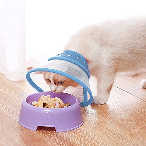 Vivifying Halskrause Katze, Verstellbar von 14.5-20,3 cm Leichtgewicht Schutzkragen für Welpen, Kleine Hunde und Katzen (Blau-M)