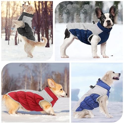 Veste imperméable pour chien coupe-vent chaud Labrador Lévrier bleu - 7