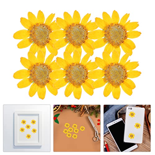 TEHAUX 2 sets flores secas para manualidades 48 pcs miniatura 2