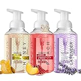 Valentines Day Foaming Hand Soap, 3Pack Moisturizing Hand Soap with Aloe Vera & Essential Oils,...