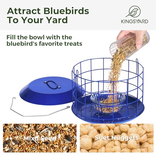 image for Kingsyard Bluebird Feeders for Outdoors Hanging, All Metal, Cage Mealw