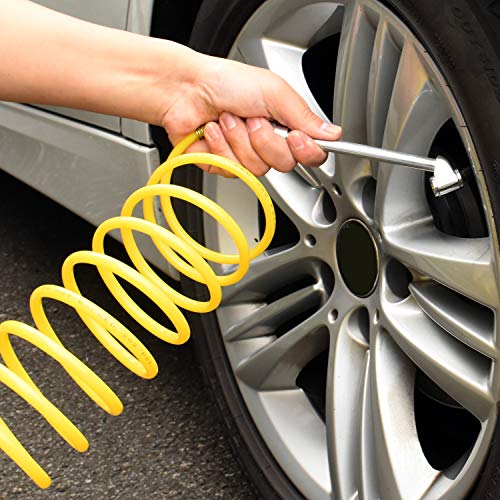 WYNNsky 12 Feet Nylon Coiled Hose