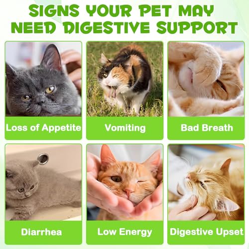 Cat Probiotic, Probiotics for Cats with Prebiotic and Enzymes, 3 in 1 Cat Probiotic Drops, Liquid Probiotic for Cats, Cat Probiotics Supplement Help Digestive Support Gut Health - Image 4