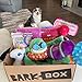 BarkBox Monthly Subscription Box, Dog Chew Toys, All Natural Dog Treats, Dental Chews, Dog Supplies Themed Monthly Box, Large Dog (50lb+)