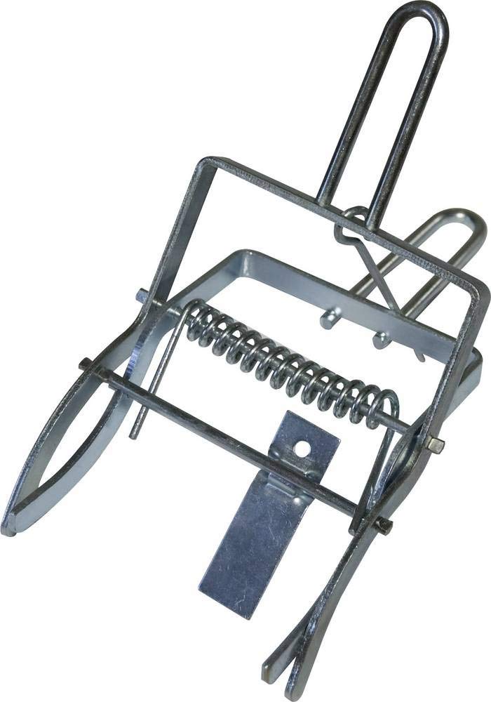 Pest-Stop Claw Mole Trap - Deter Moles - Kill Moles - Powerful Jaws - Long Handle - Robust - Rust Resistant - Reusable, Silver