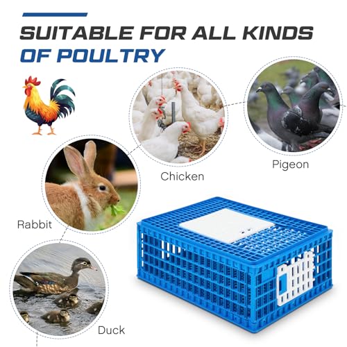 Image of GlikCeil 2 Pcs Poultry Duck Carrier Crate 3 Door Chicken Transport Cage Plastic Poultry Carrier Basket Box for Chicken Duck Goose Birds, 29.53 x 21.65 x 11.42 Inch(Blue)