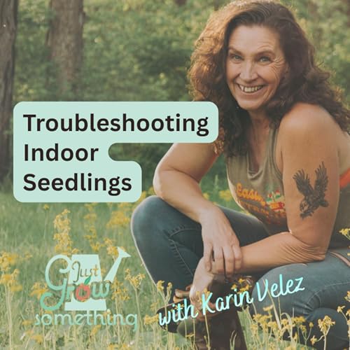 Indoor Seedling Troubleshooting - Ep. 288 Podcast Por  arte de portada
