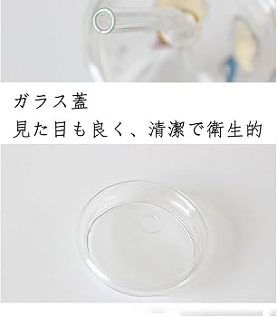 吹きガラス 蓋物 ( 振出 ) 吹きガラス 水口智貴 いぐさガラス ロックグラス 小 口径8.5×高