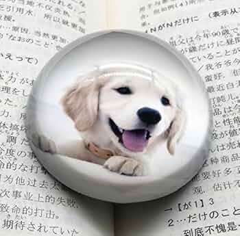 Dansk ダンスク　動物ペーパーウェイト 5個セット　クリスタルガラス Dansk ダンスク 動物ペーパーウェイト 5個セット クリスタルガラス