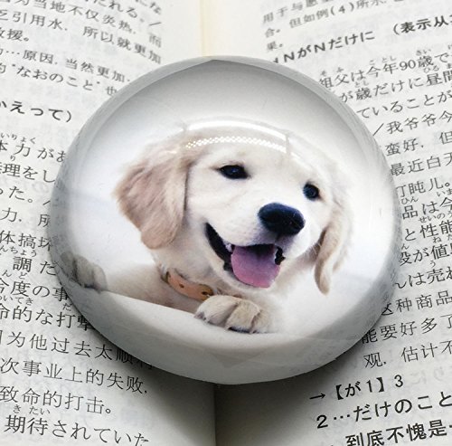 さのまる　Sano Police Station 文鎮 ペーパーウェイト　希少品 S.fields.inc正規直営店 文鎮 真鍮 ペーパーウェイト 丸型 円形 おもり