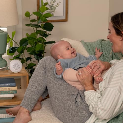 Image of Ingenuity Pock-a-Bye Baby Soother and Bluetooth Speaker, Stream Music or Preloaded Playlists