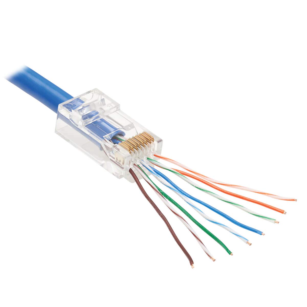 Amazon.co.jp: Tripp Lite Ca6 RJ45 パススルーUTP モジュラープラグ
