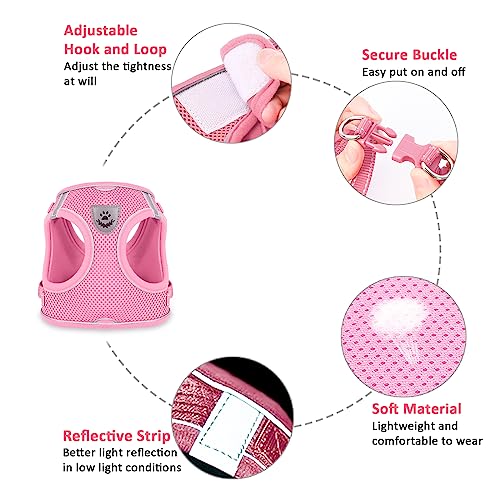Dog Harness And Leash Set For Walking, Escape Proof Vest Harness With Soft Mesh, Adjustable Strap, Reflective Strips For Kitten Cats And Puppy Dogs #TOP1