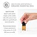 Silk Road Organic Citrus Glow Essential Oil Revive Blend, 100% Pure USDA Certified Citrus & Vanilla - Uplifting, & Energizing - 10 ml Dropper - Always Pure, Always Organic