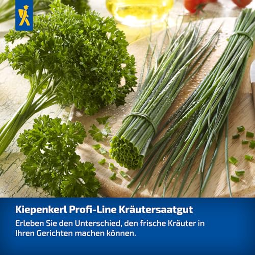 Kiepenkerl Profi-Line Basilikumsamen Floral Spires Lavendelblau 1052330 - lavendelblaues Blütenbasilikum mit intensivem Duft - Pflanzen, Saatgut, Kräutersamen