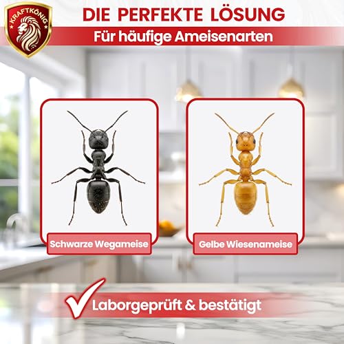 KRAFTKÖNIG Ameisenspray 500 ml – Hochwirksames Ameisen Spray für Innenräume, Außen & Garten – sofort einsatzbereit, schnell wirksam, Made in Germany