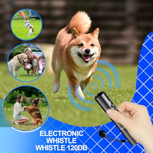 Sifflet électrique pour entraîneurs avec double LED USB - 2