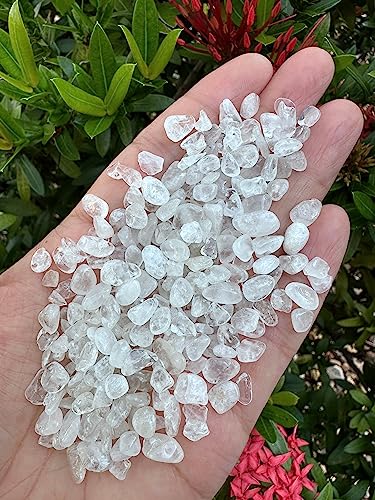 Image of GAF TREASURES 2 oz Lot Citrine Semi Tumbled Gemstone Chips, Crushed Mini Crystals, Undrilled Crystal Chips (Clear Quartz)
