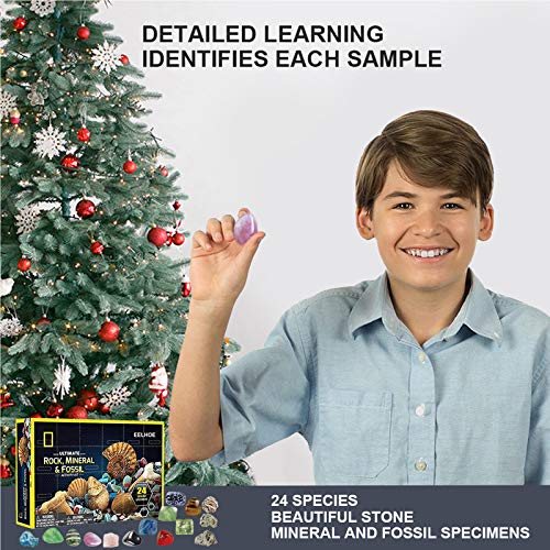 OLOPE Rocks & Fossils Kit, Earth Science Kit, Rock & Mineral Collection Activity Kit, 24 Piece Rocks Collection 2020 Count Down Advent Calendar, Educational Toys for Kids (Multicolor)