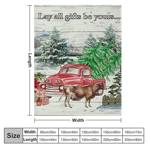 Couverture chaude plaid hiver enneigé camion arbres de Noël