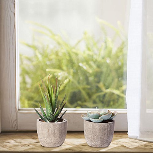 Jelofly Fake Plants Artificial Succulent Plants Assorted Decorative Faux Succulent Potted Fake Cactus Cacti Plants Gray Pots, Set Of 5 #TOP2