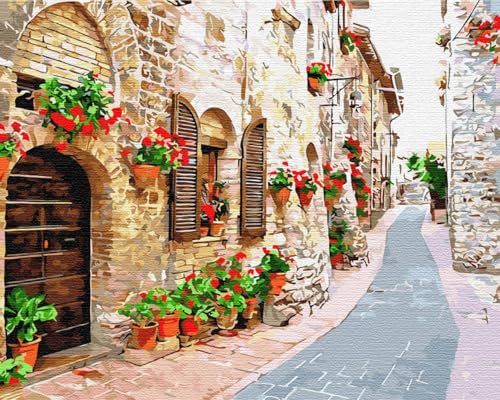 Artnapi Malen nach Zahlen Erwachsene mit Rahmen | DIY Handgemalt | Straße mit Blumen | Kit für Anfänger und Erwachsene | Set inklusive Acrylfarben & Pinsel | 40x50cm Leinwand | Ideal als Geschenk