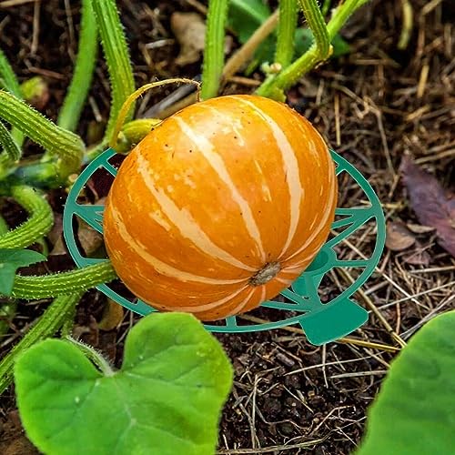 Tnfeeon Durable Watermelon Stand Melon Pumpkin Support Holder for Garden Farm - Image 4