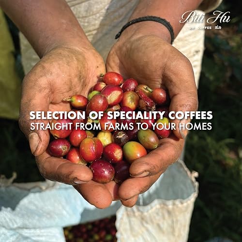 Image of Bili Hu Coffee, Aeropress Coffee Powder Kalledevarapura Estate, Arabica Blend, Medium Roast, (Pack of 1, 250 gms)