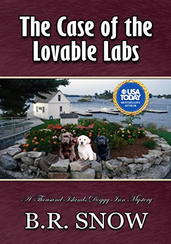 The Case of the Lovable Labs (The Thousand Islands Doggy Inn Mysteries Book 12)