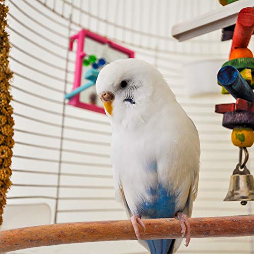 iplusmile 4pcs Natural Wood Bird Perch Set for Parakeets - Climbing Branches for Bird Cages Comfortable Perches - Image 2